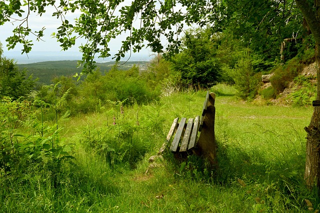 湖人能够在 湖人能够在