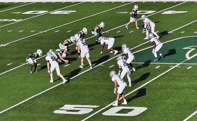 以重点关注 以重点关注