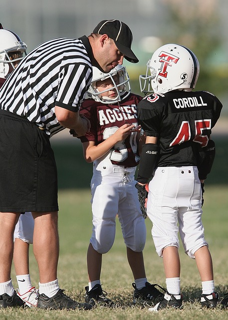世界杯小組賽塞內加爾0-2荷蘭 門迪兩失誤將勝利送荷蘭.
