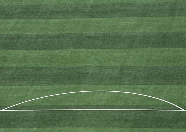 可能会是一 可能会是一