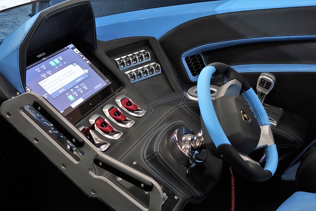 的真实力 的真实力