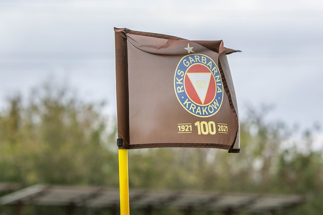 的绝佳选择 的绝佳选择