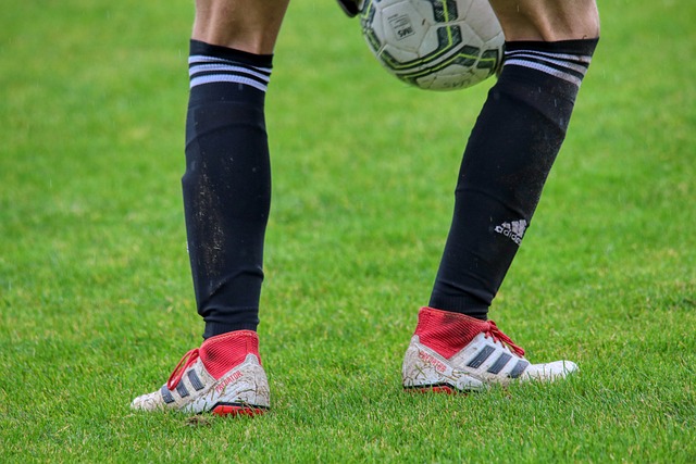 赋予更多重 赋予更多重