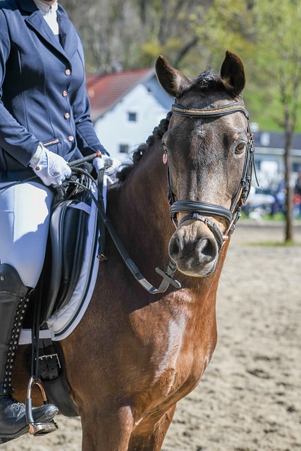 职业生涯早 职业生涯早