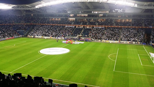 要因素